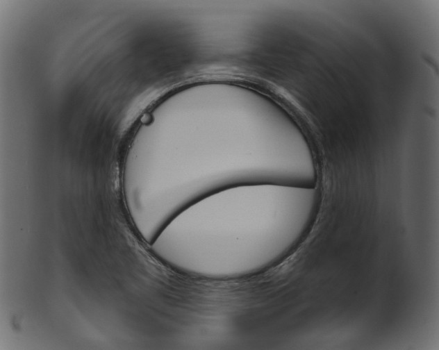 X0000102041461200807181018