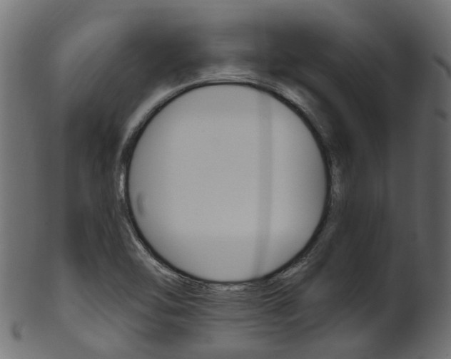 X0000102041462200807181018