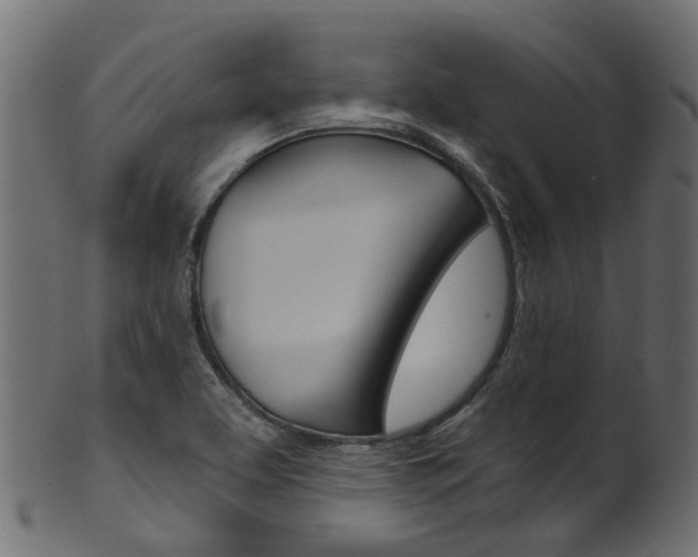 X0000102041463200807181018