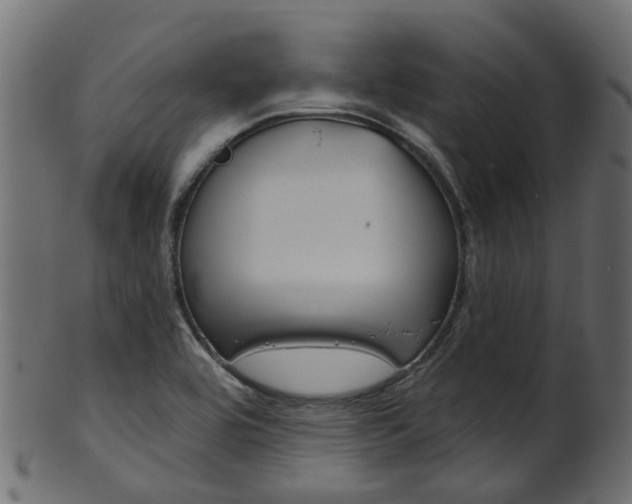 X0000102041464200807181018
