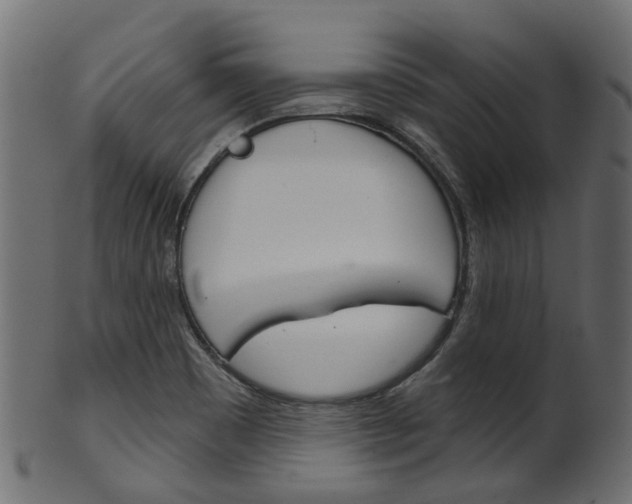 X0000102041465200807181018