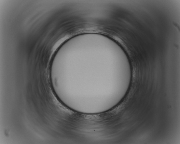 X0000102041466200807181018