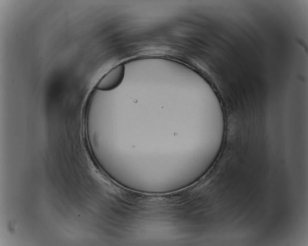 X0000102041467200807181018