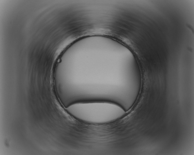 X0000102041469200807181018