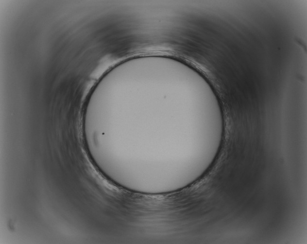 X0000102041470200807181018