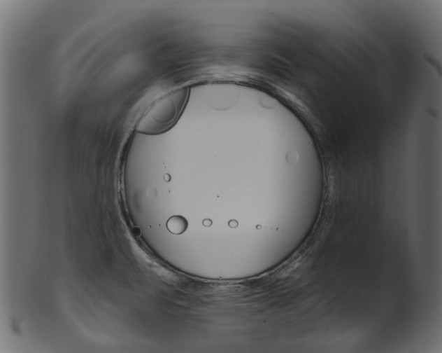 X0000102041471200807181018