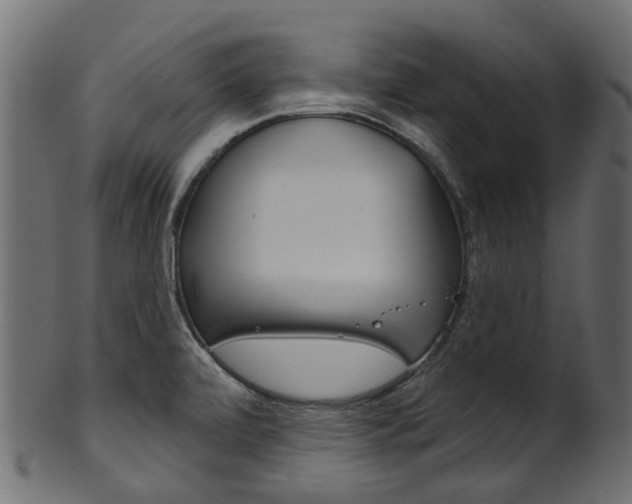 X0000102041472200807181018