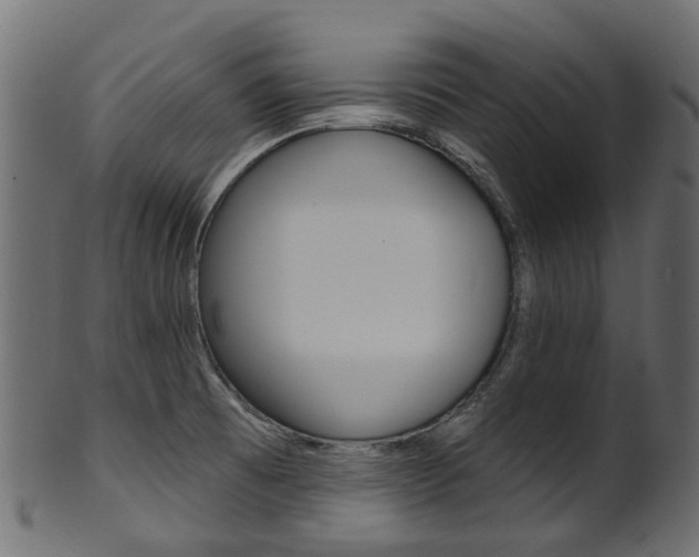 X0000102041473200807181018