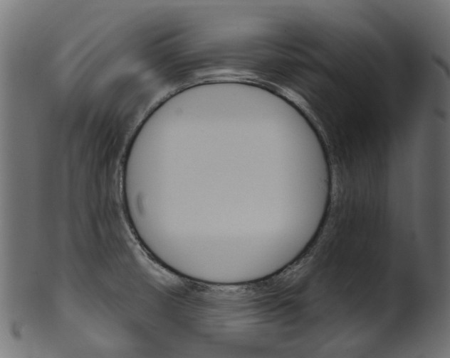 X0000102041474200807181018