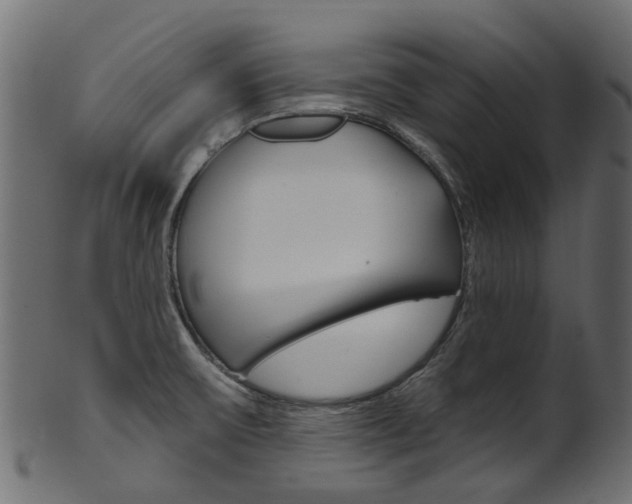 X0000102041475200807181018