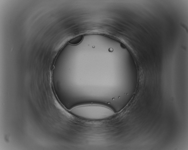 X0000102041476200807181018