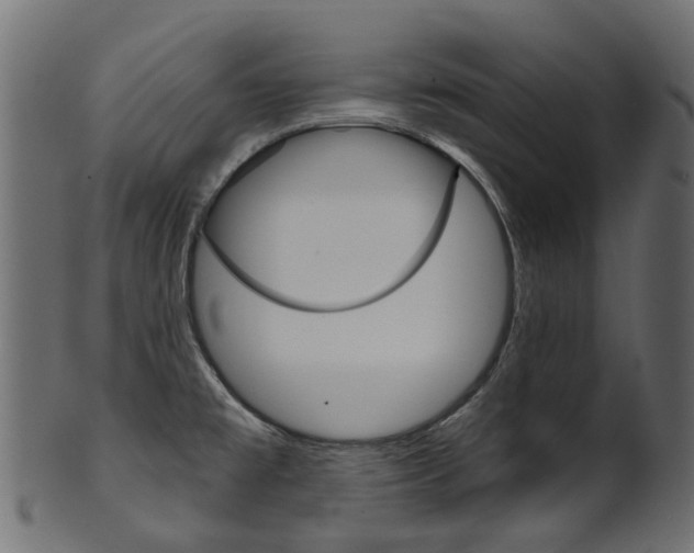 X0000102041477200807181018