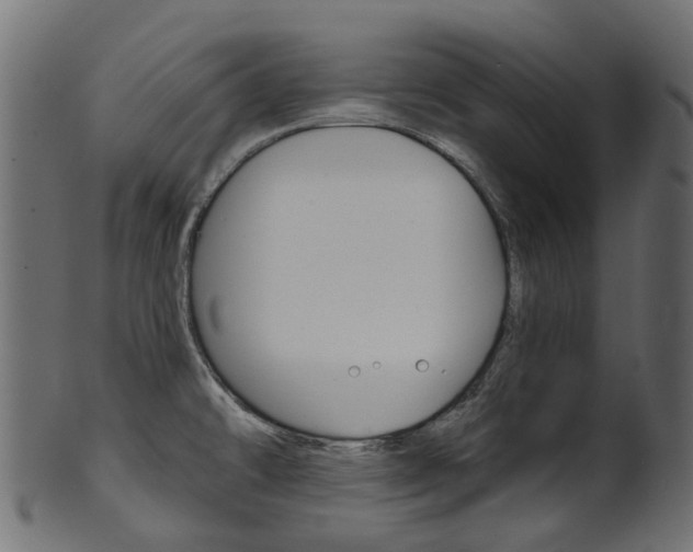 X0000102041478200807181018