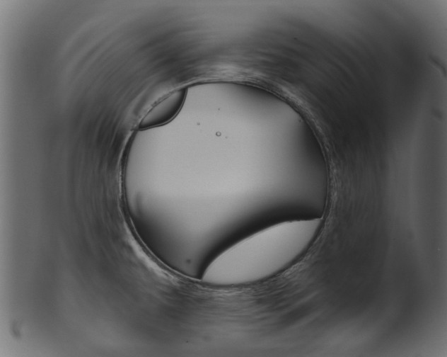 X0000102041479200807181018