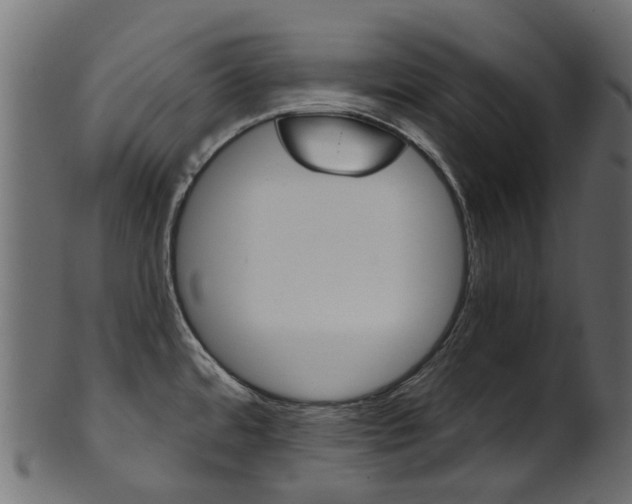 X0000102041480200807181018
