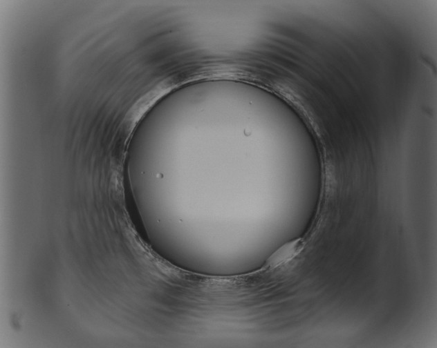 X0000102041481200807181018