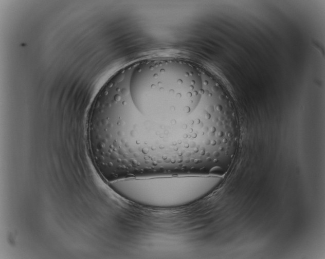 X0000102041483200807181018