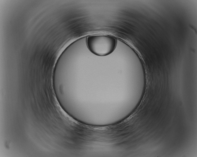 X0000102041484200807181018