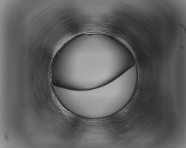 X0000102041485200807181018