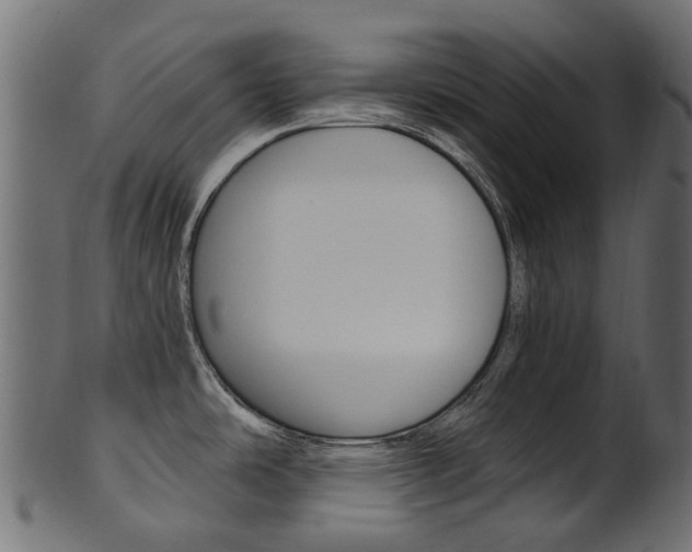 X0000102041486200807181018