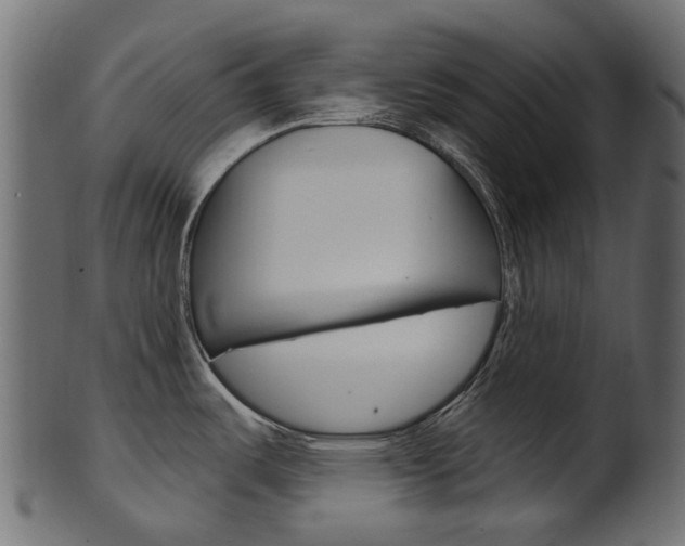 X0000102041487200807181018