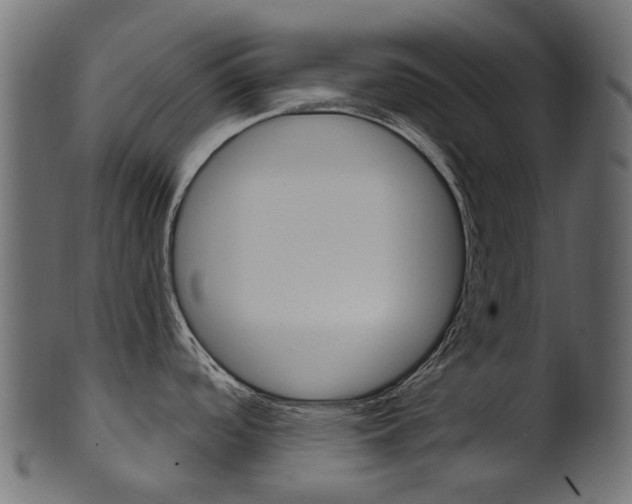 X0000102041488200807181018