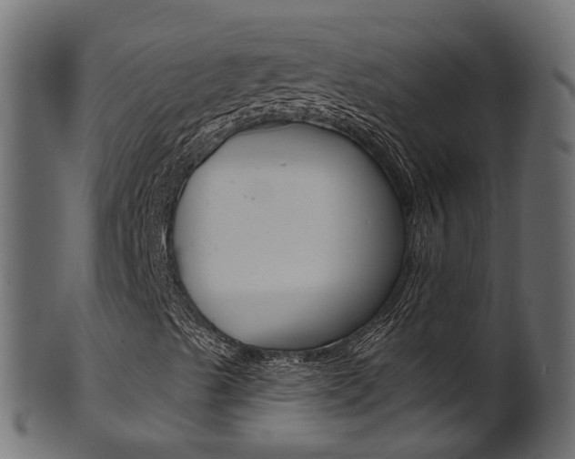 X0000102041489200807181017