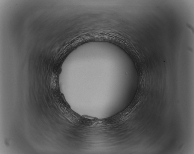 X0000102041490200807181017