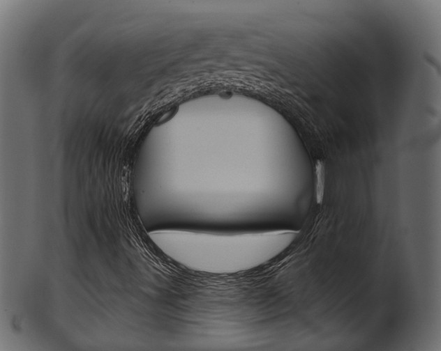 X0000102041491200807181017
