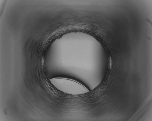 X0000102041492200807181017