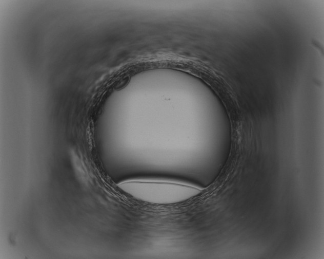 X0000102041493200807181017