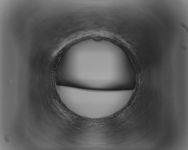 X0000102041496200807181017