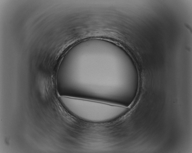 X0000102041497200807181017