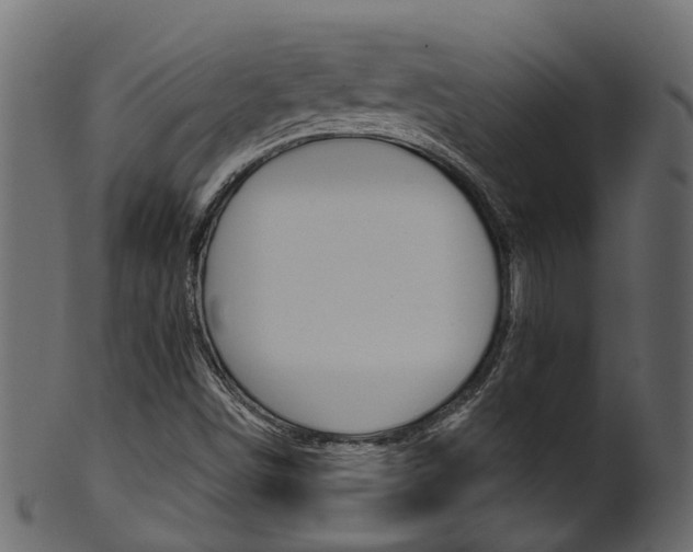 X0000102041498200807181017