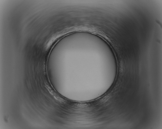 X0000102041499200807181017