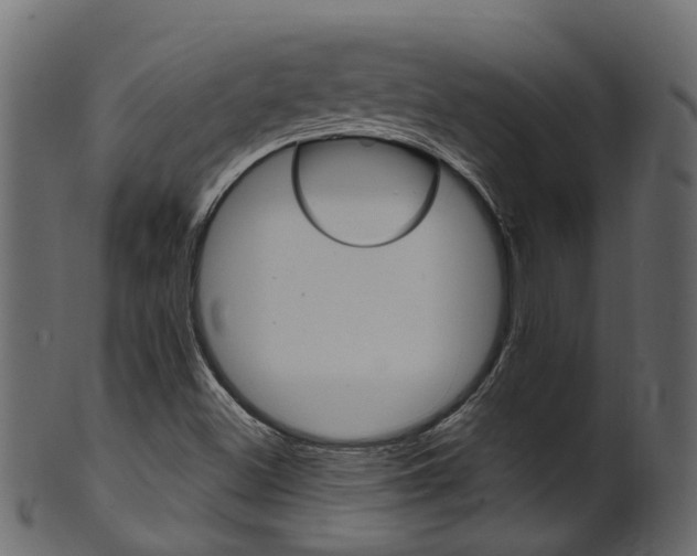 X0000102041500200807181017