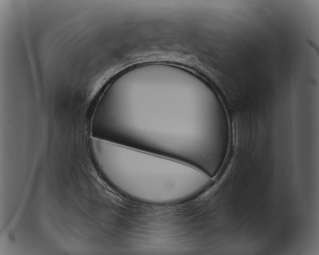 X0000102041501200807181017