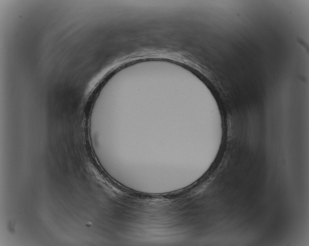 X0000102041502200807181017