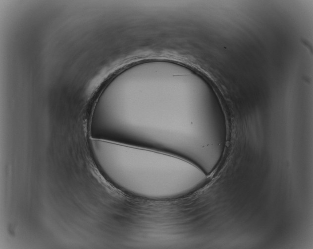 X0000102041503200807181017