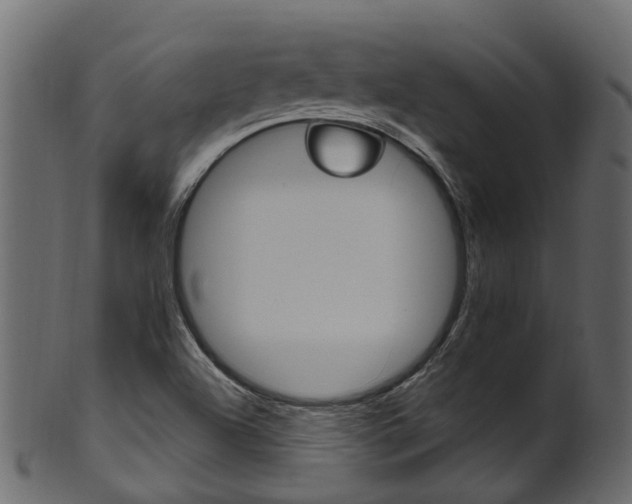 X0000102041504200807181017