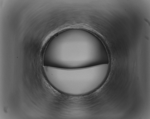 X0000102041506200807181017