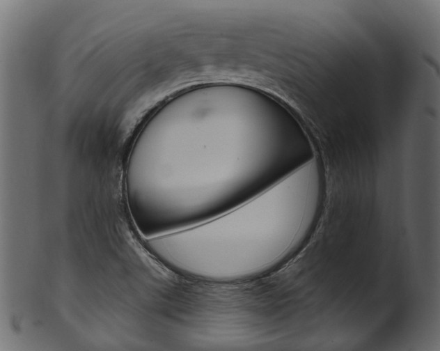 X0000102041507200807181017