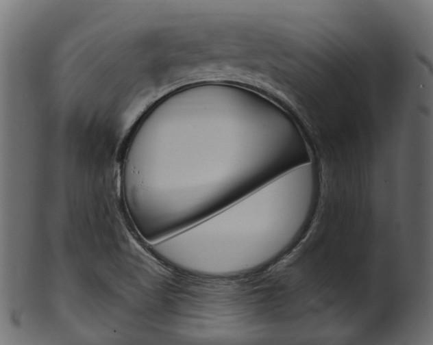 X0000102041509200807181017
