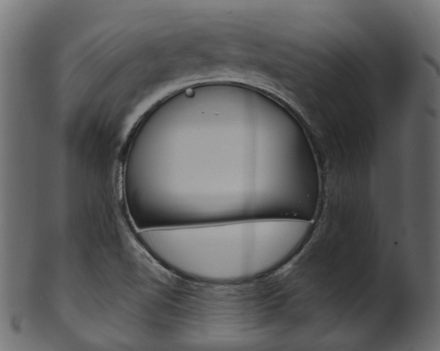 X0000102041510200807181017