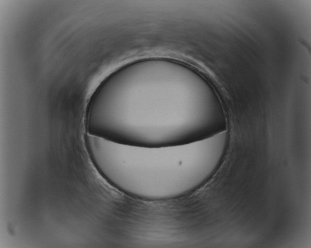 X0000102041512200807181017