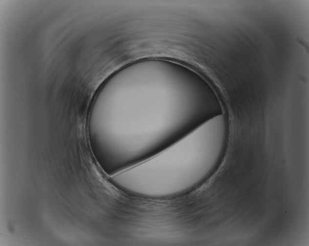 X0000102041513200807181017
