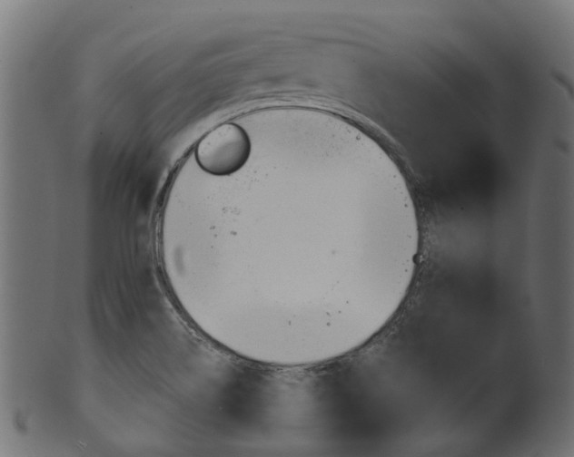 X0000102041514200807181017