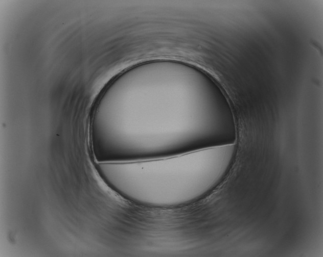X0000102041515200807181018