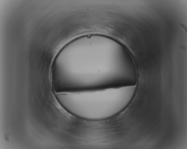 X0000102041516200807181018