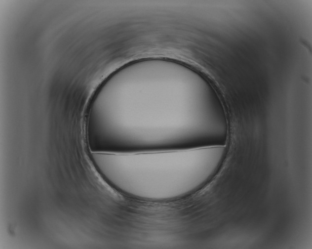 X0000102041517200807181018
